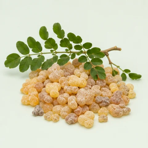 Boswellia serrata