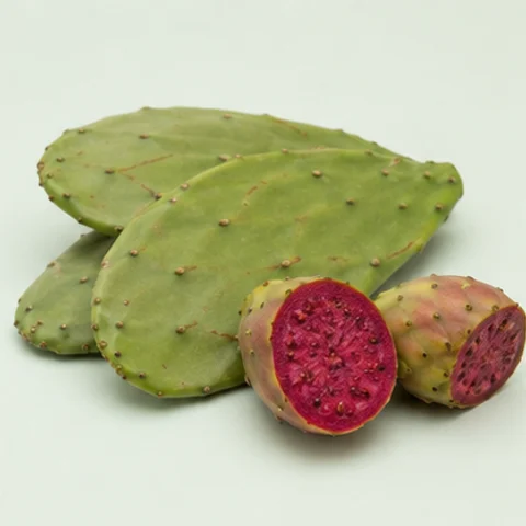 Extracto de nopal